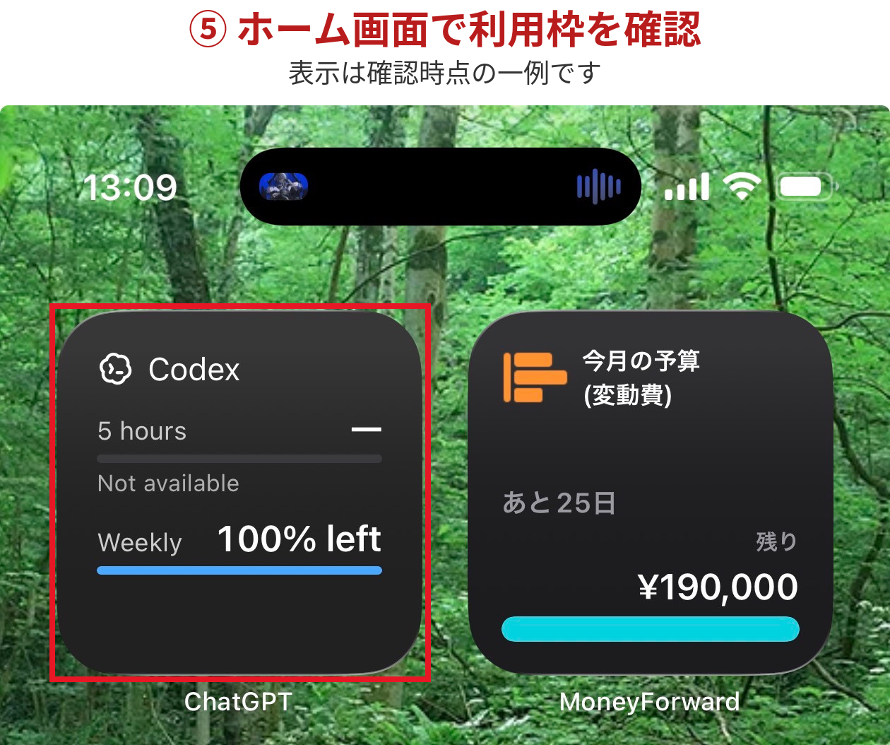 ホーム画面に配置されたCodexウィジェットを赤枠で示した表示例
